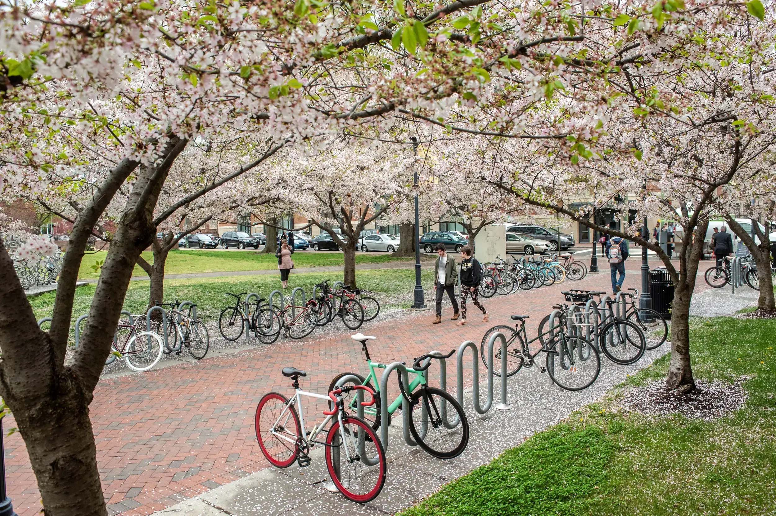 94% of VCU community members feel safe on campus