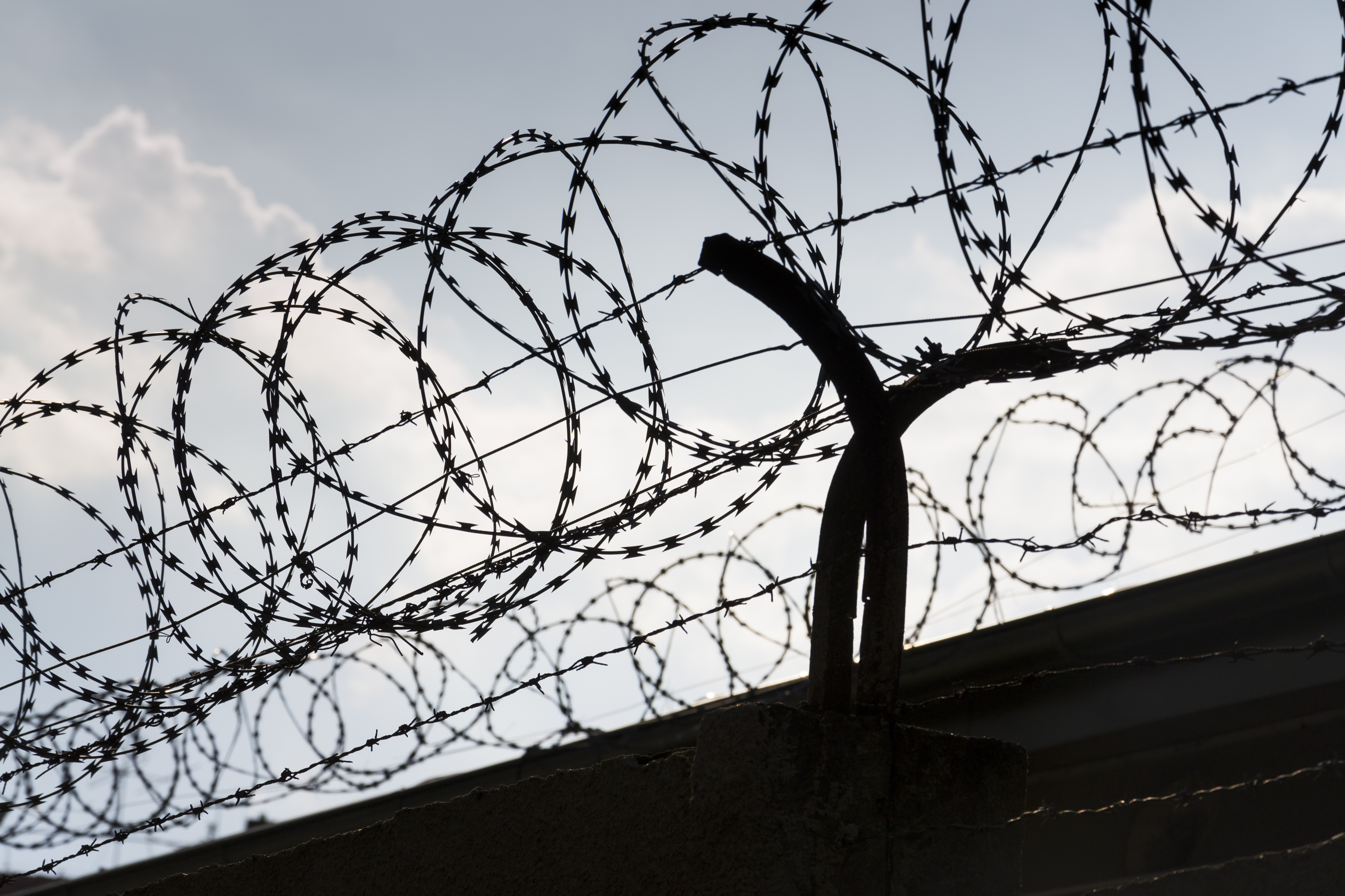 Uncounted no more: How D. Pulane Lucas is creating a system of accountability and  empowering citizens to report in-custody deaths 